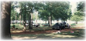 Lovely, wooded campgrounds