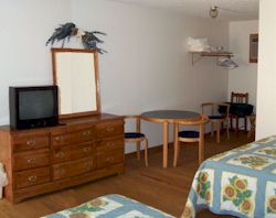 Hardwood floors and nice furnishings