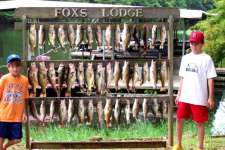 Fishing at Fox's Lodge