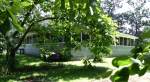 Catalpa tree and screened porch area