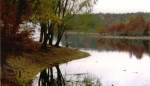 Bulkheaded bayou and small island