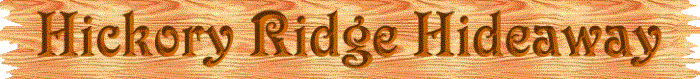 Y Knott Lodge on Toledo Bend Lake