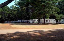 Our wooded RV camping area 
