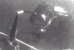 Diver with gar fish on spear