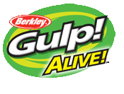 Gulp Logo