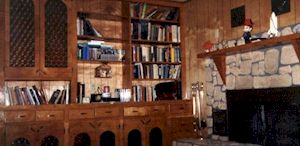 fireplace and bookcase