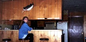 Cottage bar area