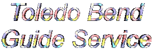 Toledo Bend Fishing Guide Service on Toledo Bend Lake