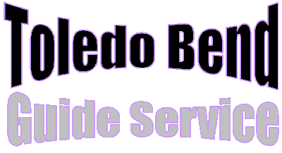 Toledo Bend Fishing Guide Service on Toledo Bend Lake