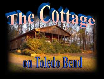 Link to Toledo Bend  Cottage on Toledo Bend Reservoir
